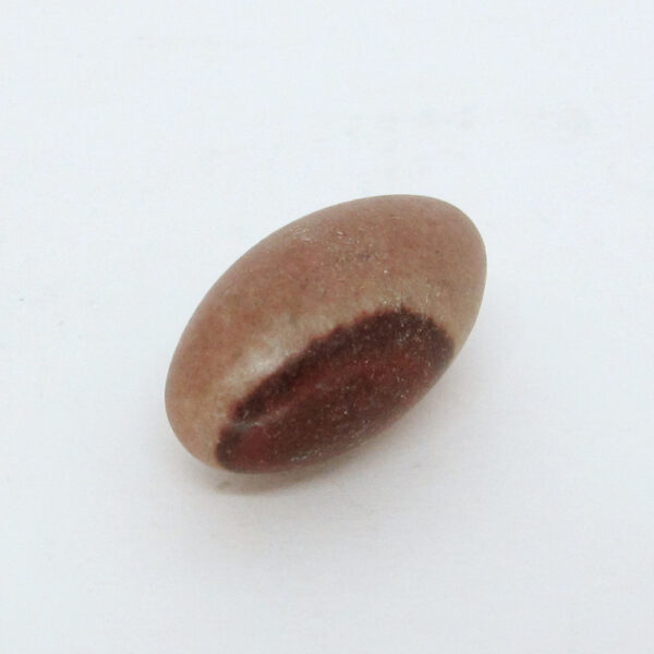 Lingam de Shiva (Shiva Lingam)